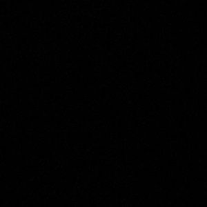 Meet your Posher, Carley